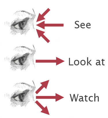See, Look (at), Watch